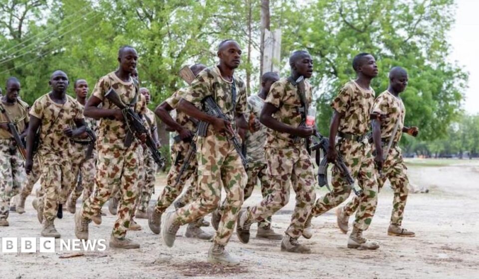 Nigeria's President Tinubu orders a 80% salary increase for junior soldiers