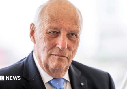 Norway's King Harald admitted to hospital and put on sick leave