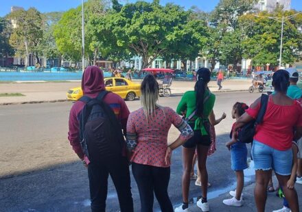 Onei: Un informe oficial registra 49 juicios por feminicidios en 2025