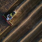'Perfect storm' brews for global food supply as grain prices soar