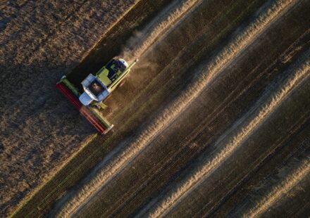 'Perfect storm' brews for global food supply as grain prices soar
