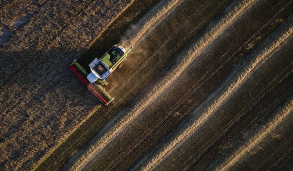 'Perfect storm' brews for global food supply as grain prices soar