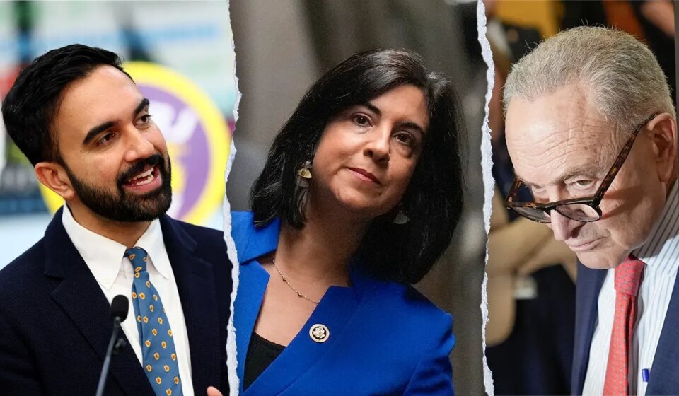 Rep Malliotakis accuses Democrats of voter ID 'hypocrisy' in Congress