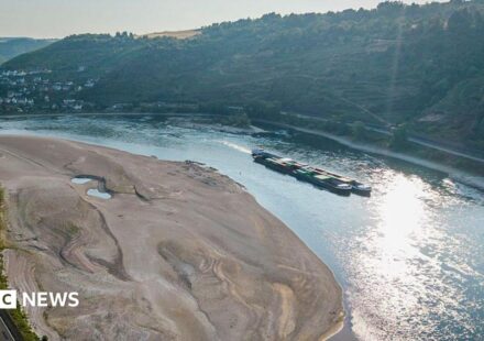 Rhine falls to record low levels as drought strains Europe's rivers