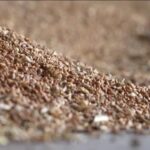 Russia-Ukraine war: Grain hub attacks raise fears over global food prices