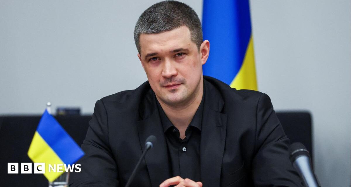 Sacked Ukrainian defence minister calls for presidential election