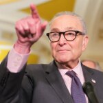 Schumer blocks voter ID bill despite saying Democrats support it again