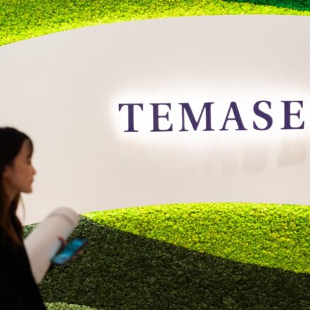 Singapore's Temasek on hot streak in India as three bets surge on IPOs