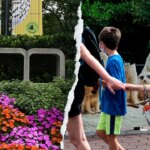 Smithsonian National Zoo accused of pushing DEI and climate agenda