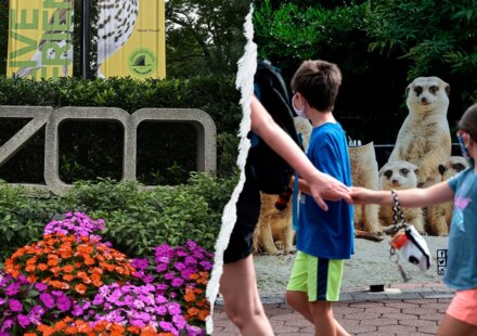 Smithsonian National Zoo accused of pushing DEI and climate agenda