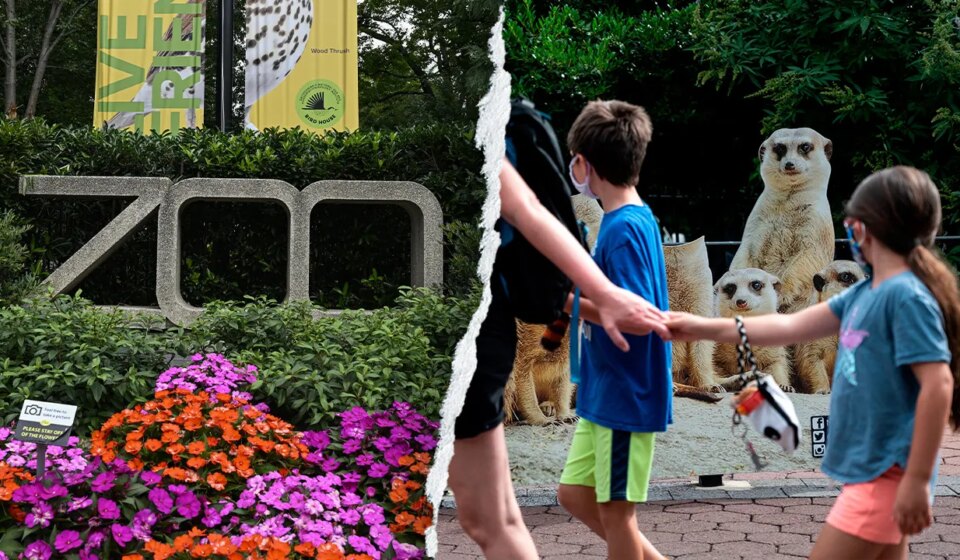 Smithsonian National Zoo accused of pushing DEI and climate agenda