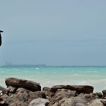 Somali piracy surges as the impact of the US-Iran war ripples outwards