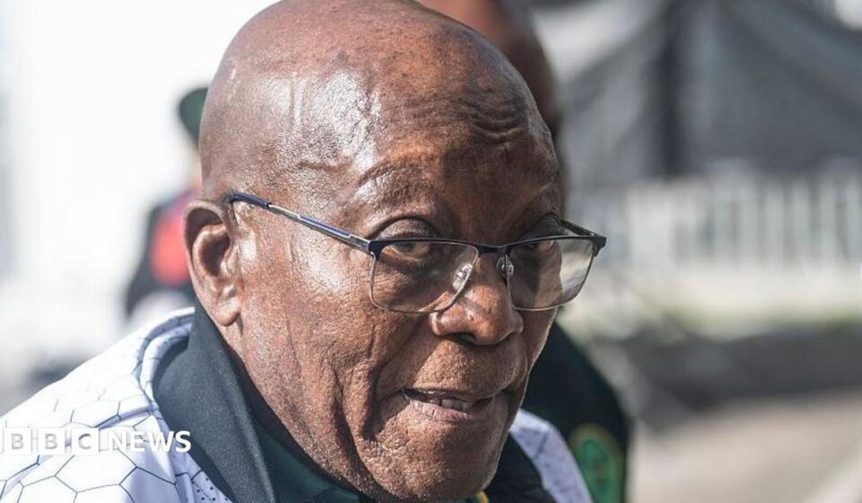South Africa plans new rules on ex-leaders' foreign trips after Zuma's visit to India
