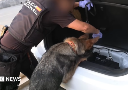 Spanish police arrest 78 people in bust of 'one of largest' smuggling networks