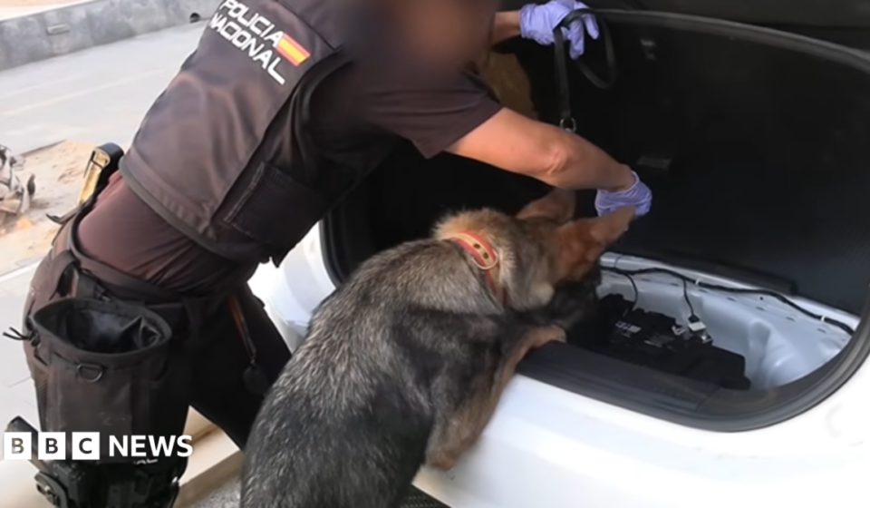 Spanish police arrest 78 people in bust of 'one of largest' smuggling networks