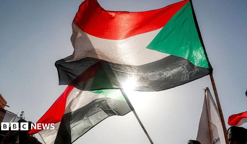 Sudan civil war: Army drone strike on Darfur court session kills 35, rights group says
