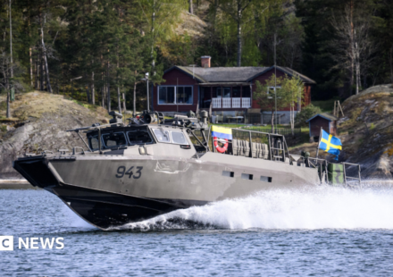 Swedish military seeks to take over Russian-owned estate near naval base