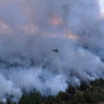 The week in pictures: Summer wildfires, a Thai school shooting and the Tour de France Femmes