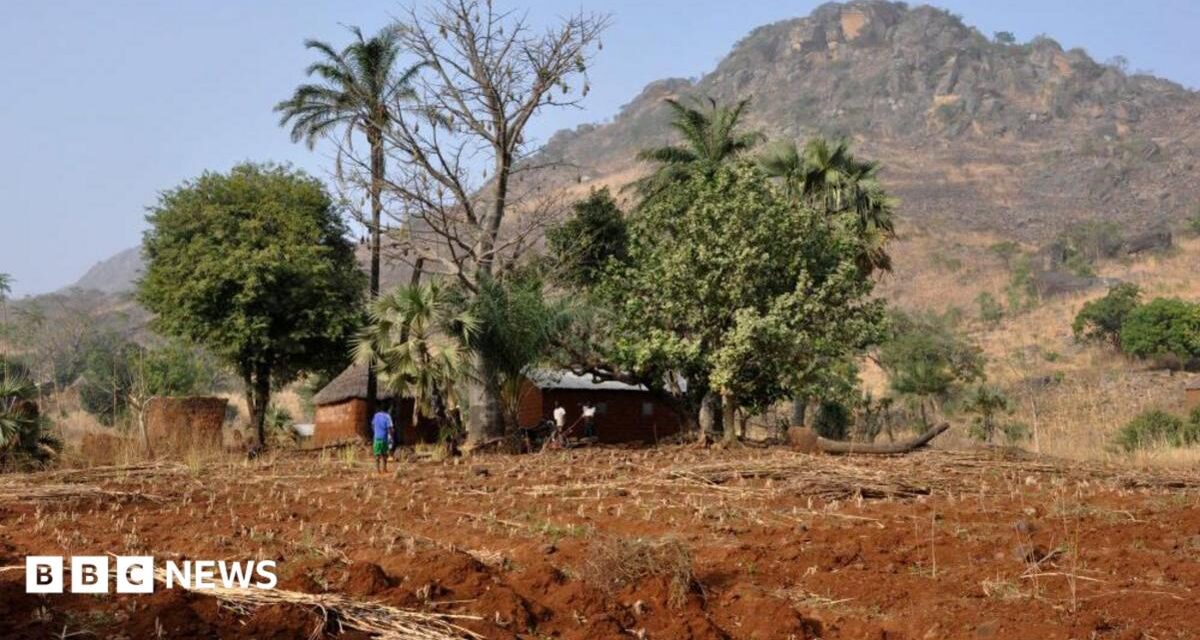 Togo charges two French journalists over incorrect documents, rights group says