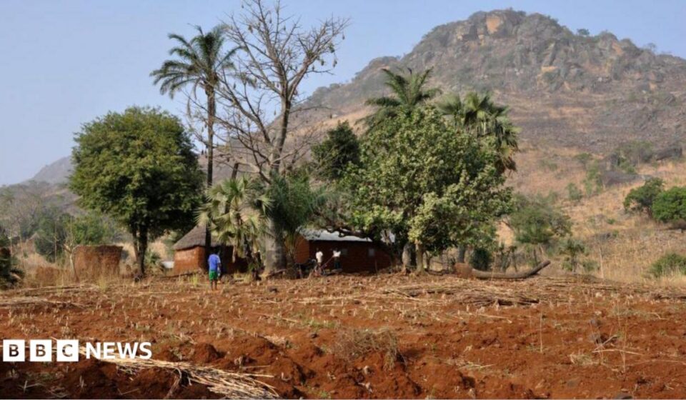 Togo charges two French journalists over incorrect documents, rights group says