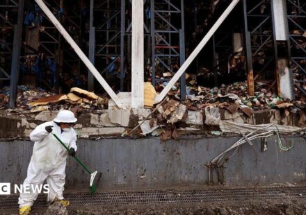 Tonnes of rotting food create unbearable stench in LA neighbourhood