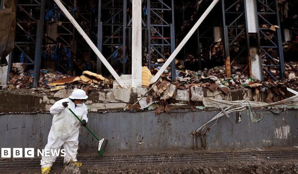 Tonnes of rotting food create unbearable stench in LA neighbourhood