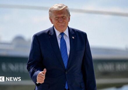 Trump says he is cancelling strikes on Iran subject to 'rapidly' making deal