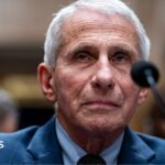 US Senate committee votes to hold Fauci in contempt over Covid hearing
