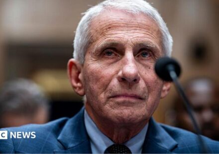US Senate committee votes to hold Fauci in contempt over Covid hearing