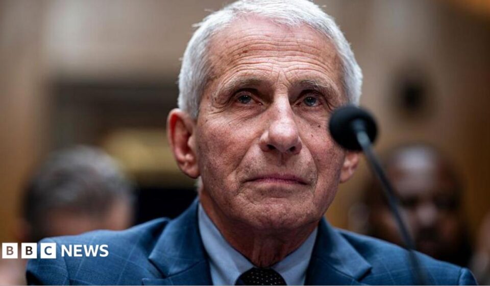US Senate committee votes to hold Fauci in contempt over Covid hearing