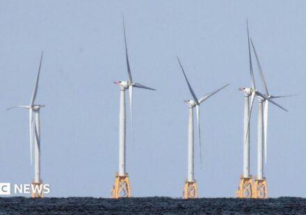 US strikes $1.2bn deal to pay German firm to halt offshore wind projects