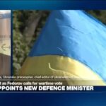 Ukraine a 'genuine', 'fragile' democracy: 'Internal political turmoil will weaken political system'