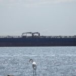 Venezuela: González Urrutia: la recuperación de Venezuela no puede medirse solo en barriles de petróleo