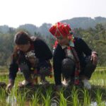 Vietnam's indigenous Hmong people forced to adapt to climate crisis - Focus
