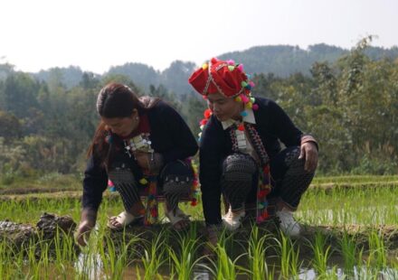Vietnam's indigenous Hmong people forced to adapt to climate crisis - Focus