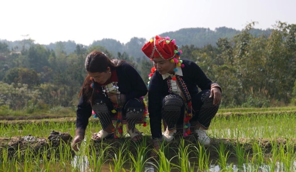 Vietnam's indigenous Hmong people forced to adapt to climate crisis - Focus