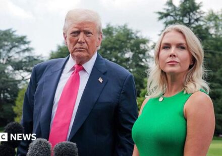 Who could potentially replace White House Press Secretary Karoline Leavitt?