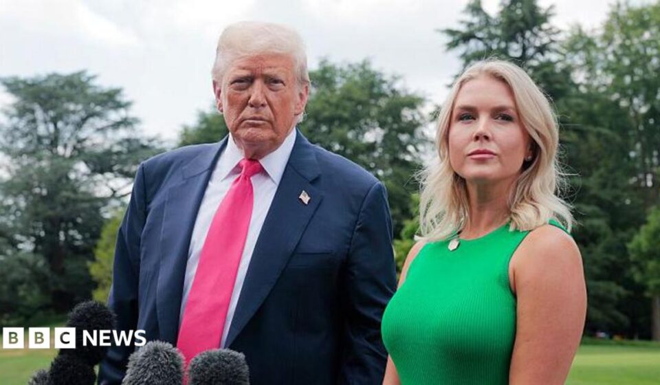 Who could potentially replace White House Press Secretary Karoline Leavitt?
