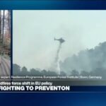 Wildfire prevention requires 'nature-based solutions': Land 'treating us' the way we treat the land