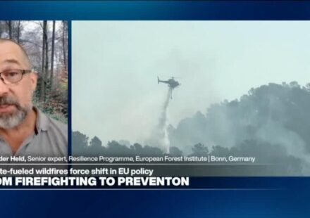 Wildfire prevention requires 'nature-based solutions': Land 'treating us' the way we treat the land