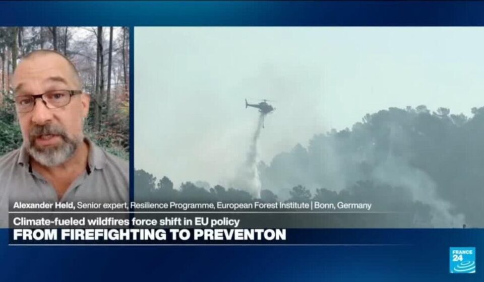 Wildfire prevention requires 'nature-based solutions': Land 'treating us' the way we treat the land