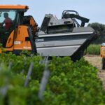 Winemakers across Europe face the challenges of climate change