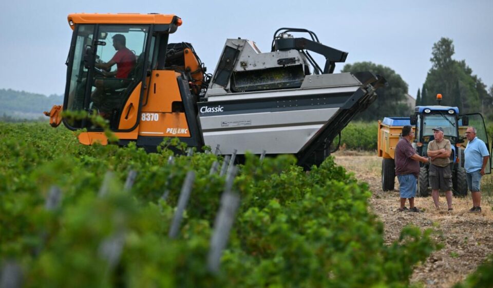 Winemakers across Europe face the challenges of climate change
