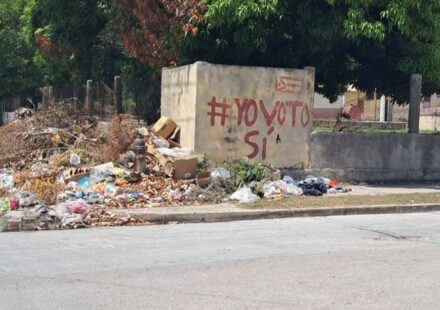 ¿Yo voto o yo boto?