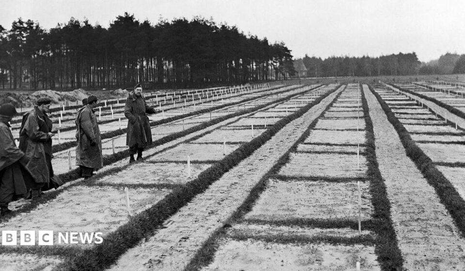 105-year-old investigated over murders at Nazi PoW camp in Germany