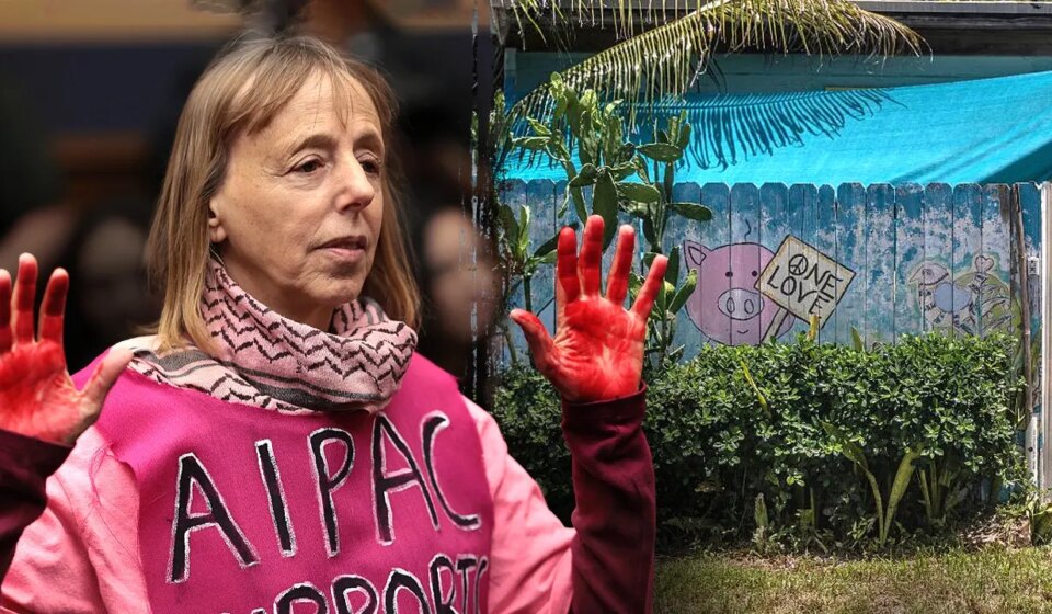 California bars $54M CodePink-linked foundation as new nonprofit forms in Miami