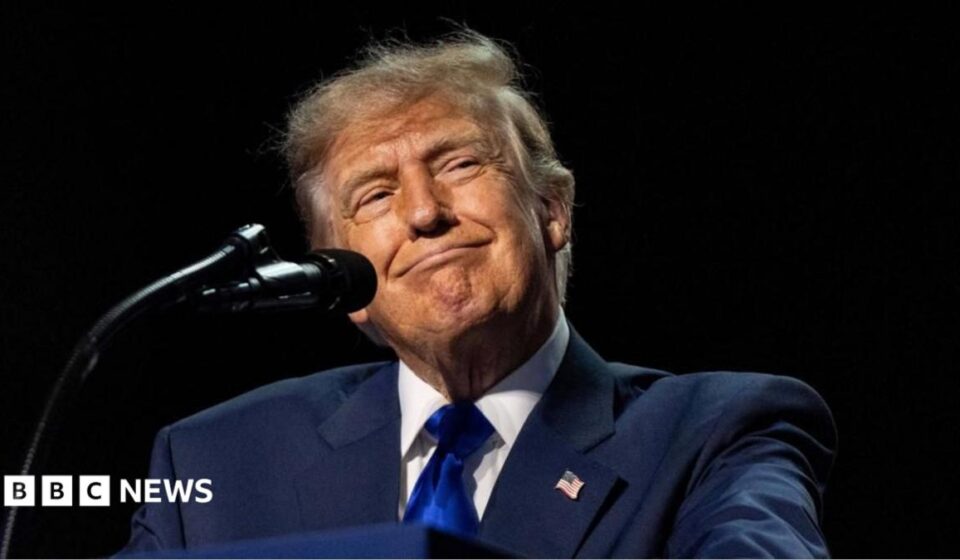 Can Trump really pay $5,000 to every American adult?
