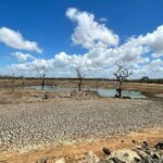 Clima: ‘El Niño’: fenómenos meteorológicos extremos hasta 2027