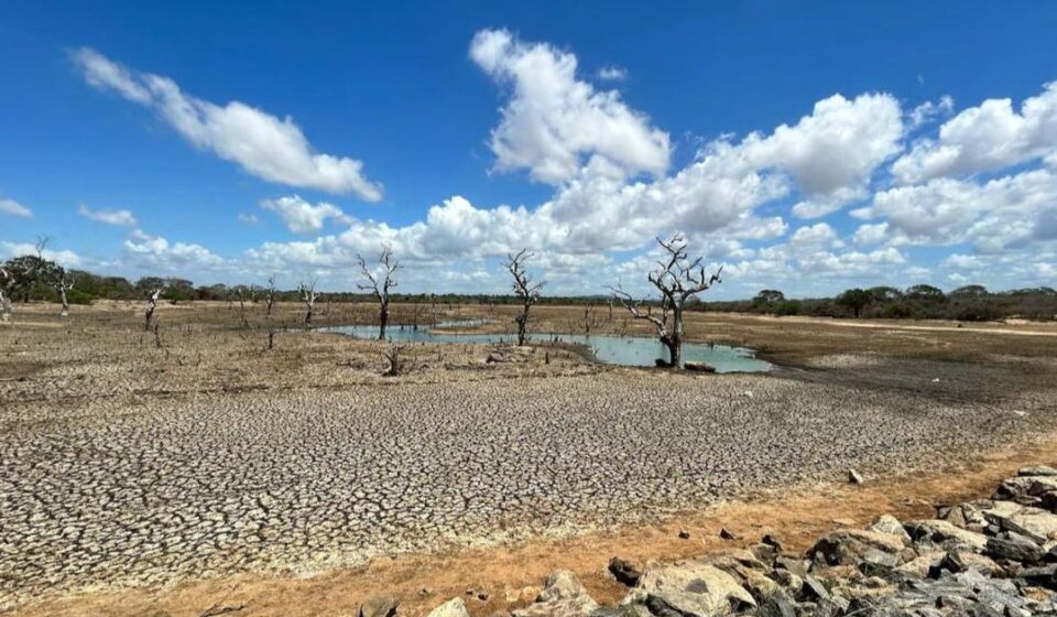 Clima: ‘El Niño’: fenómenos meteorológicos extremos hasta 2027