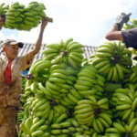 Deudas: La prensa oficialista se preocupa por los impagos del Gobierno a los agricultores